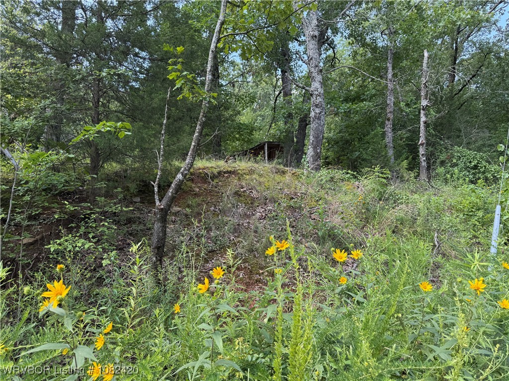 main property photo 0