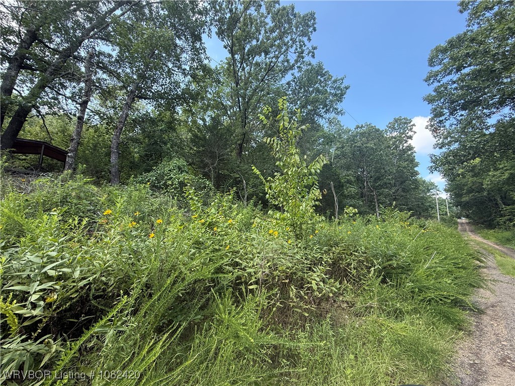 property viewer photo 1
