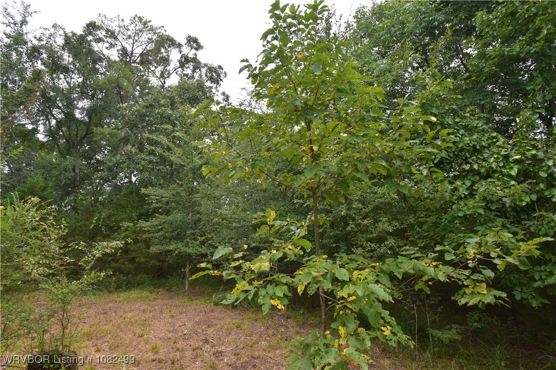 property viewer photo 28