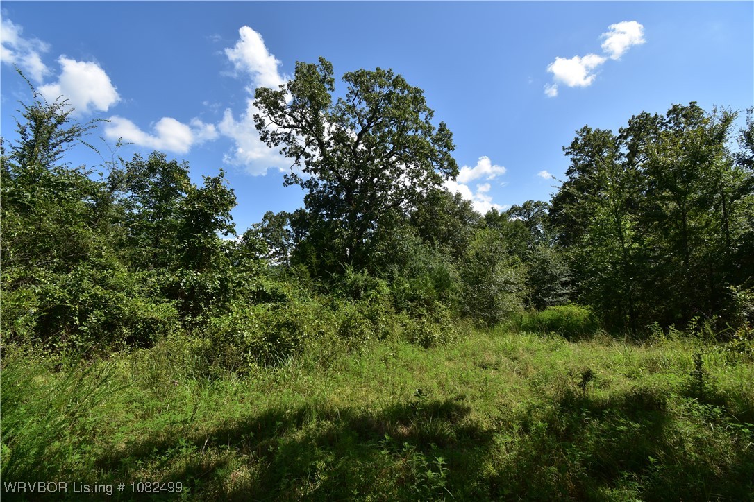 property viewer photo 6