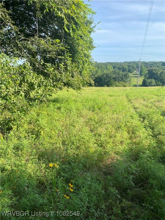 main property photo 11