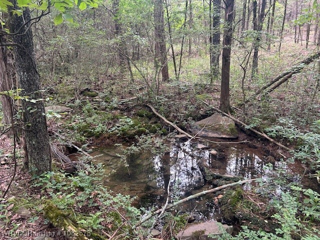 property viewer photo 3