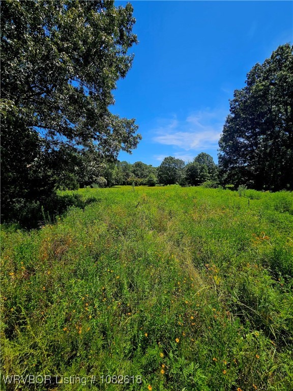 main property photo 22