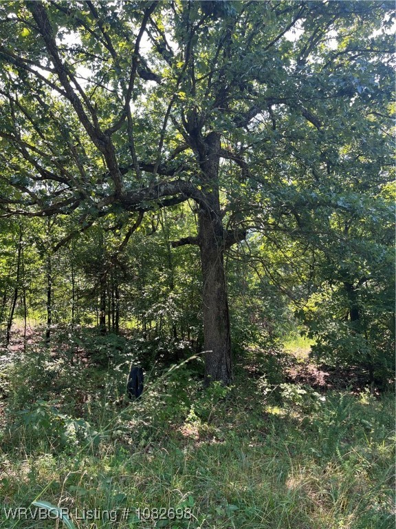 property viewer photo 10