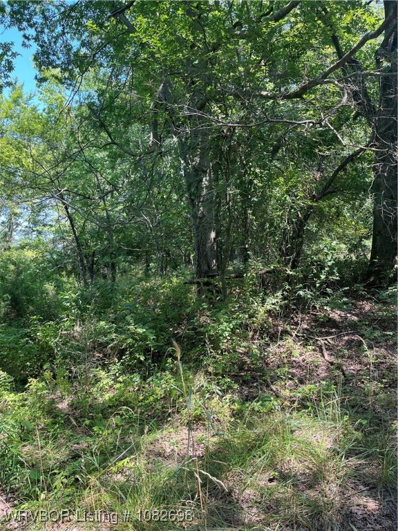 property viewer photo 2