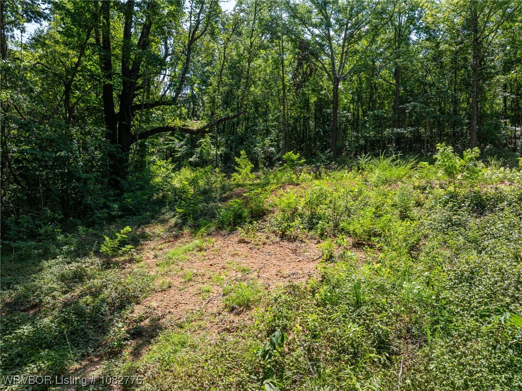 property viewer photo 11