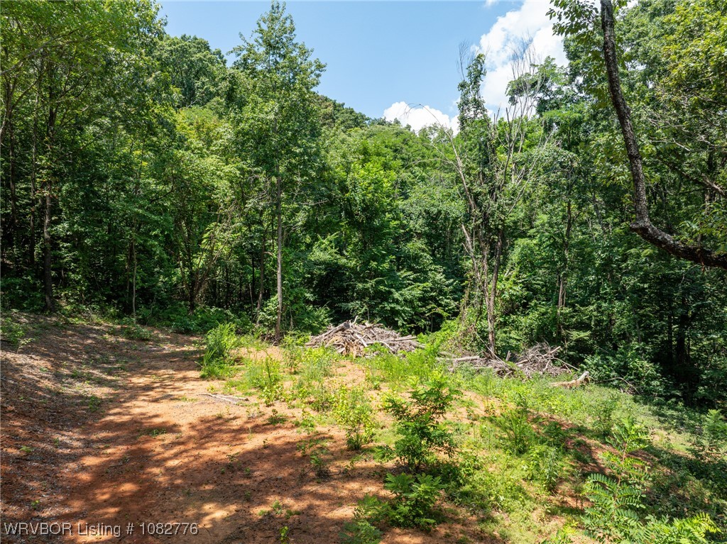 property viewer photo 12