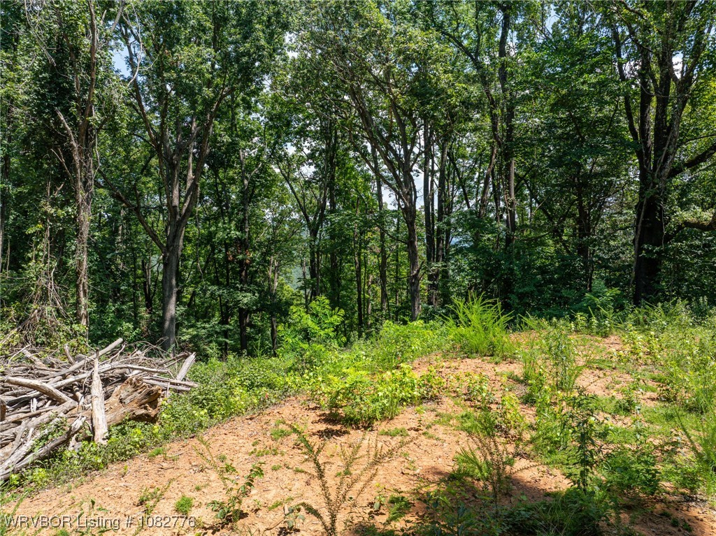 property viewer photo 2