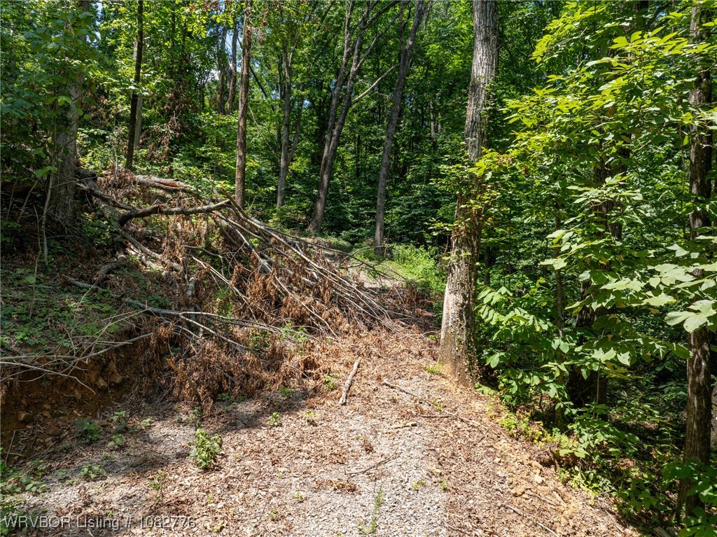 property viewer photo 4