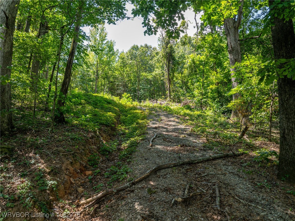 property viewer photo 8