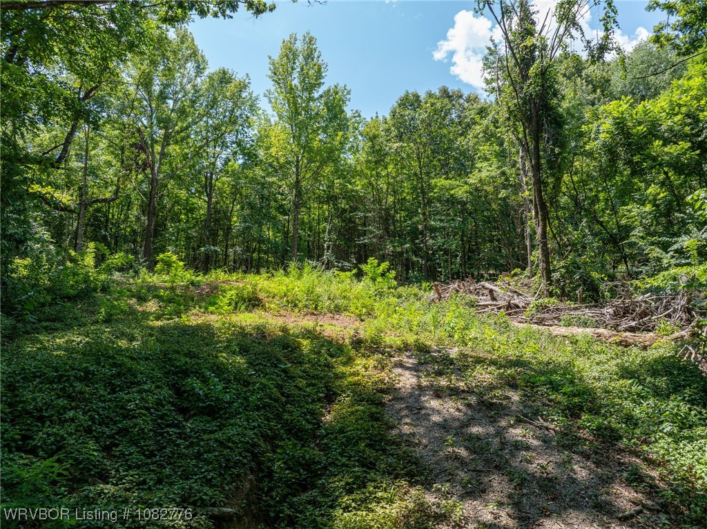 property viewer photo 9