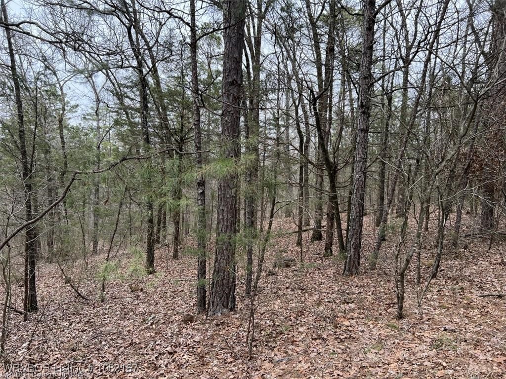 property viewer photo 10
