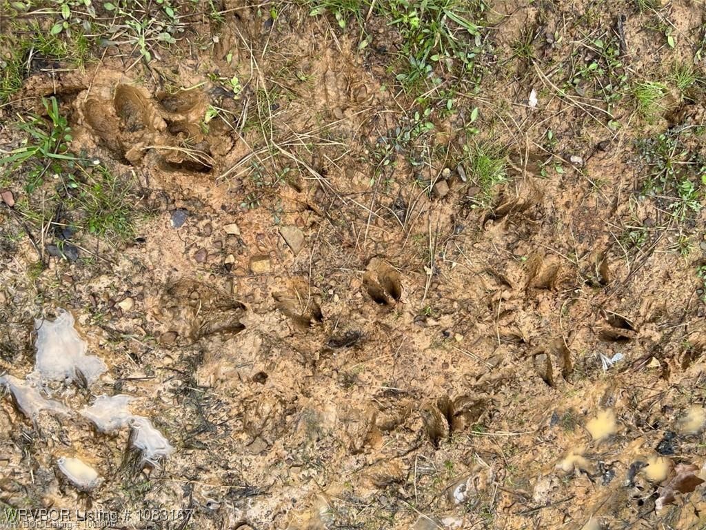property viewer photo 13