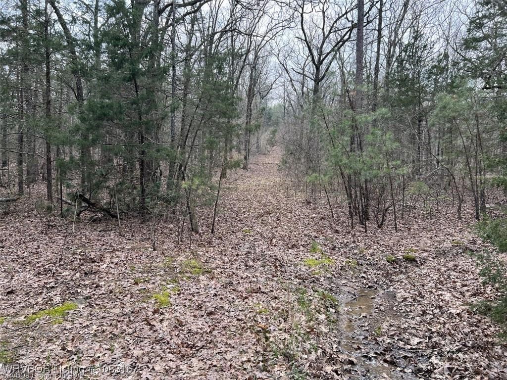 property viewer photo 14