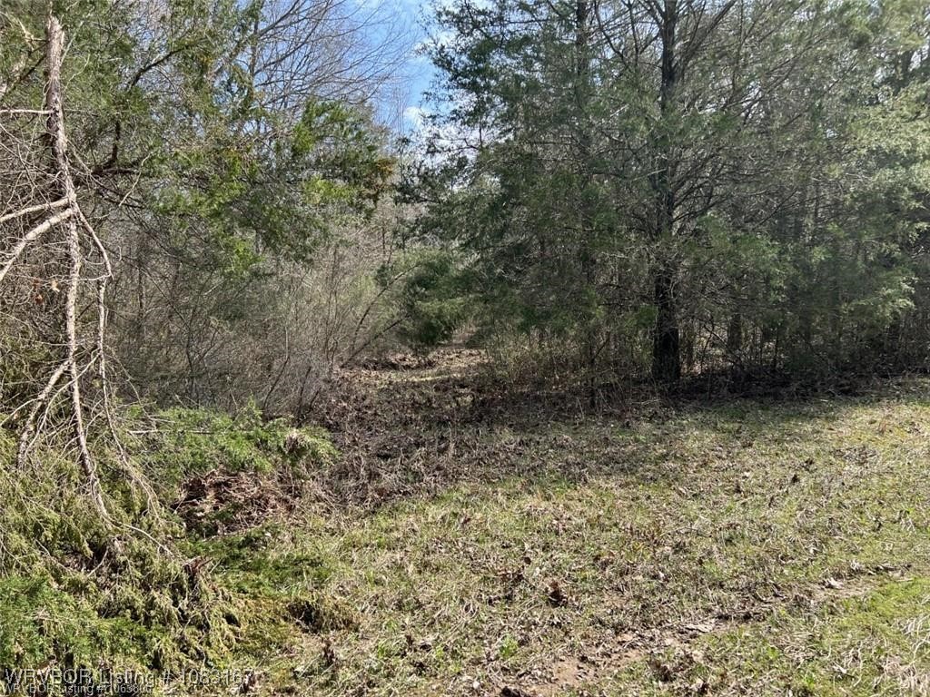 property viewer photo 40