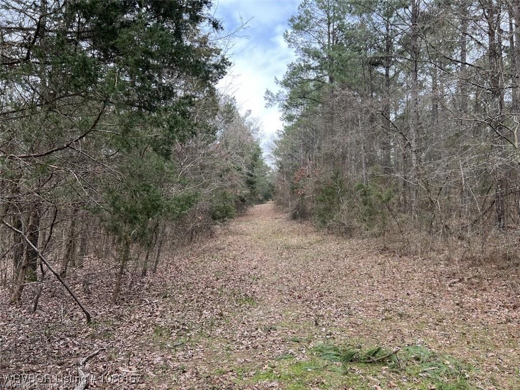 property viewer photo 41