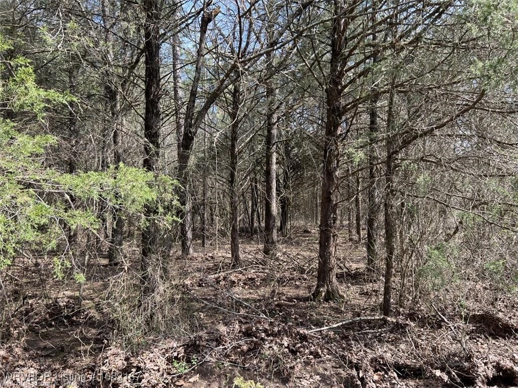 property viewer photo 43