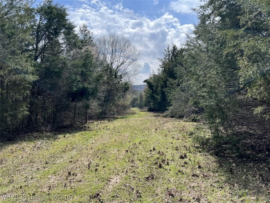 property viewer photo 44