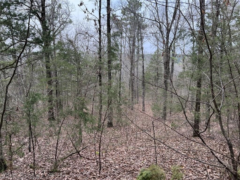 property viewer photo 6