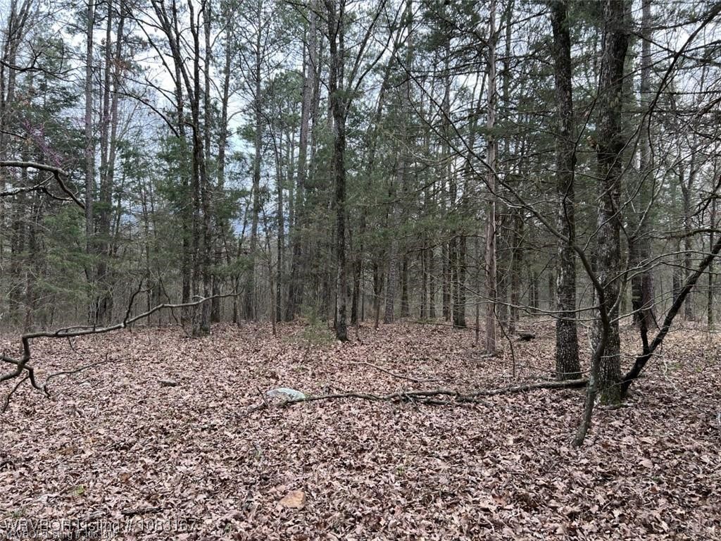 property viewer photo 7