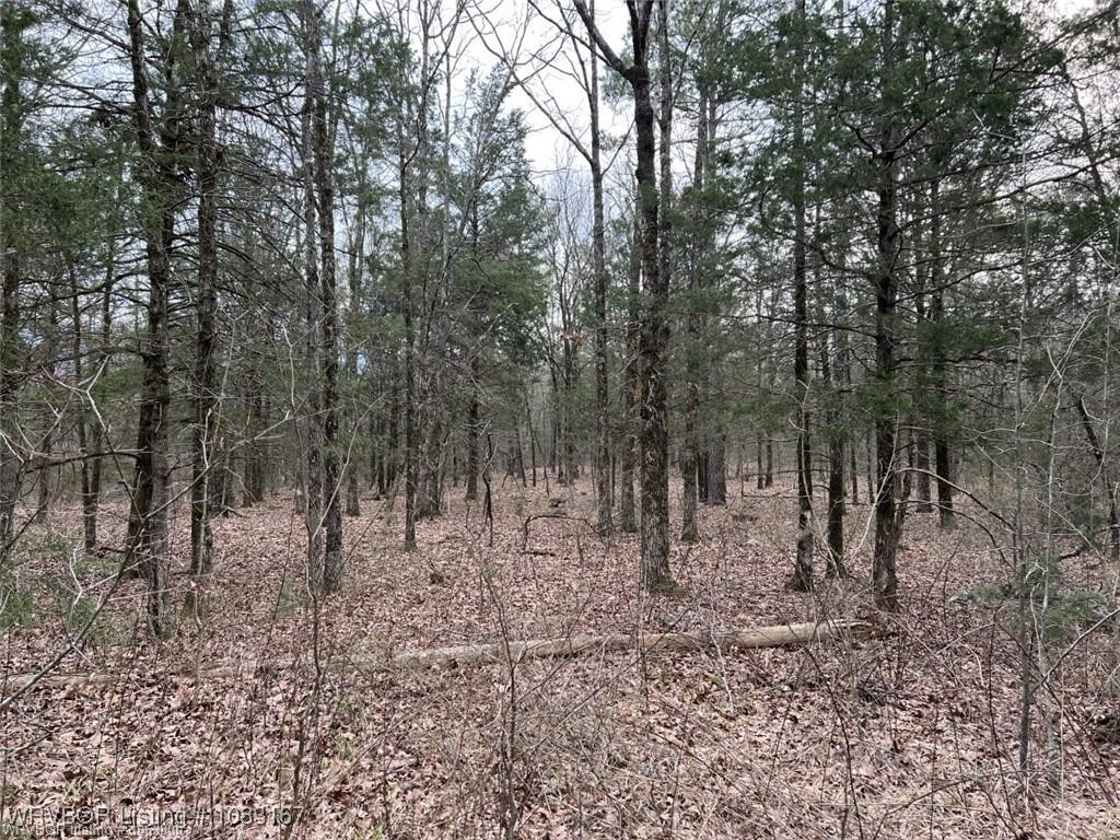property viewer photo 8