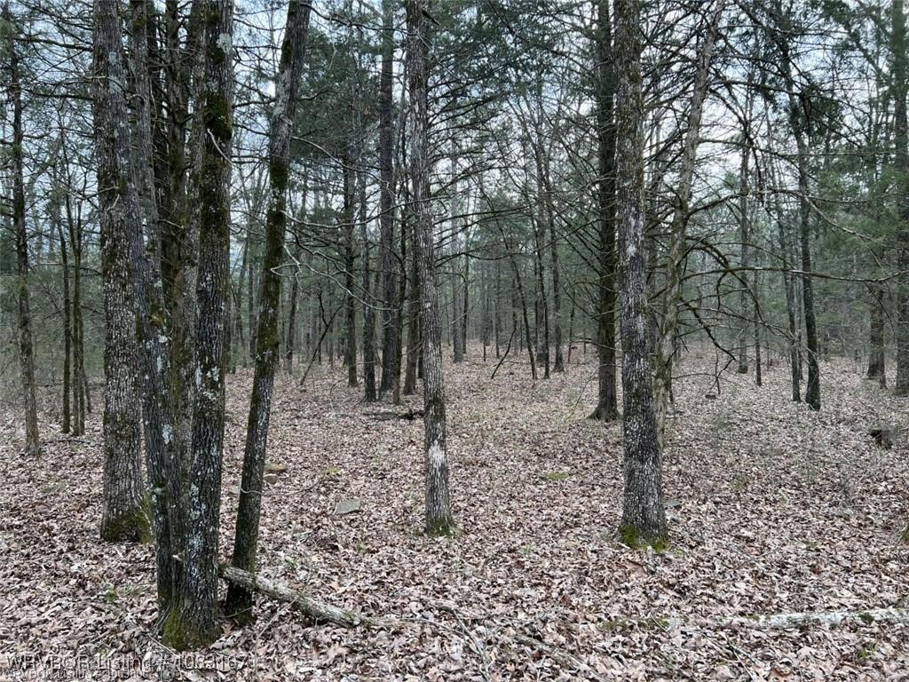 property viewer photo 9