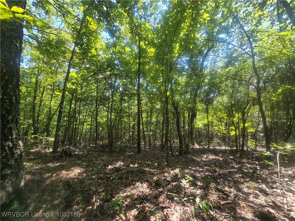 main property photo 6