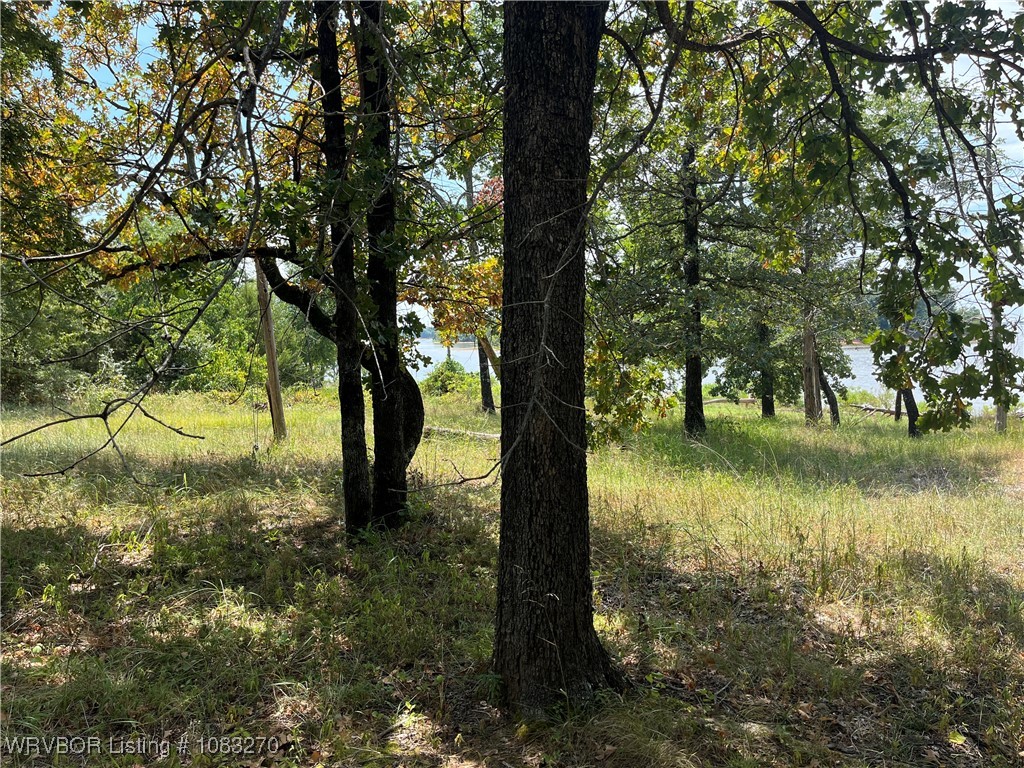 main property photo 53