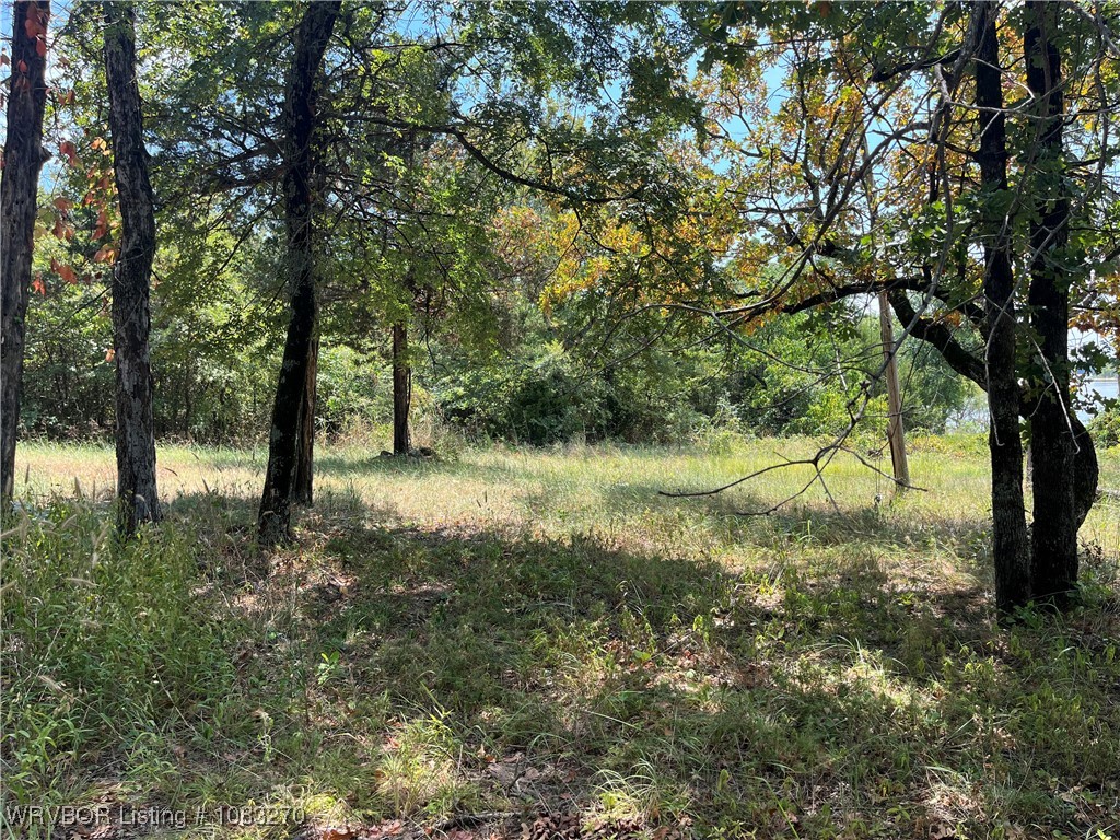 main property photo 54