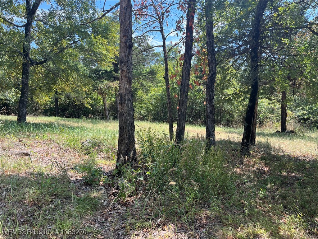 main property photo 55