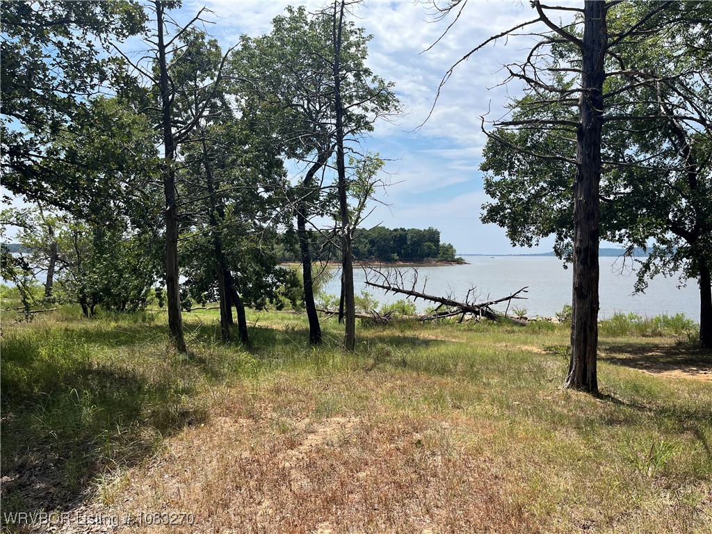 main property photo 56
