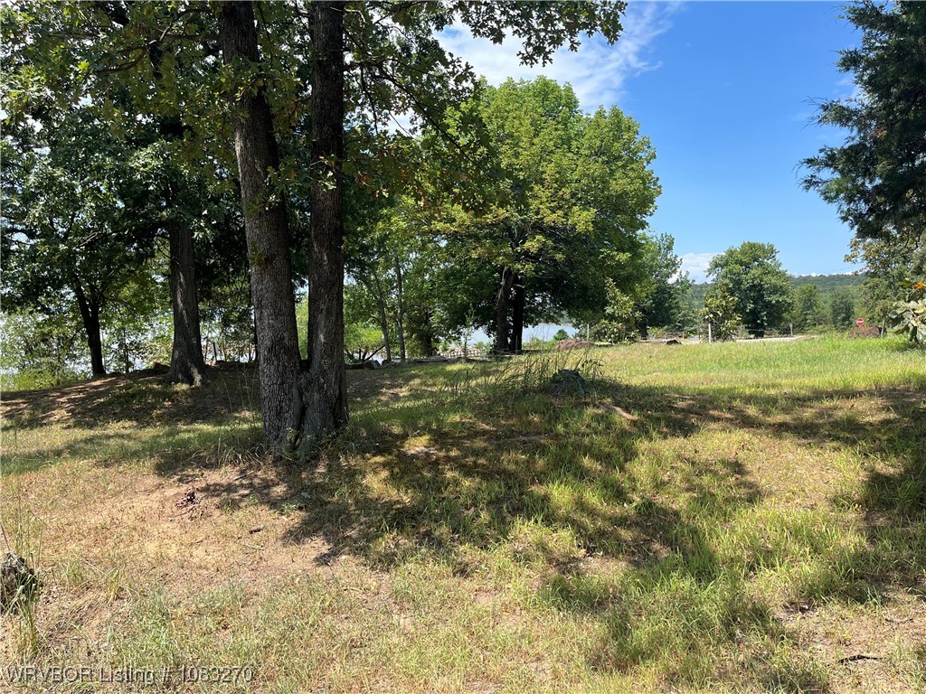 main property photo 58