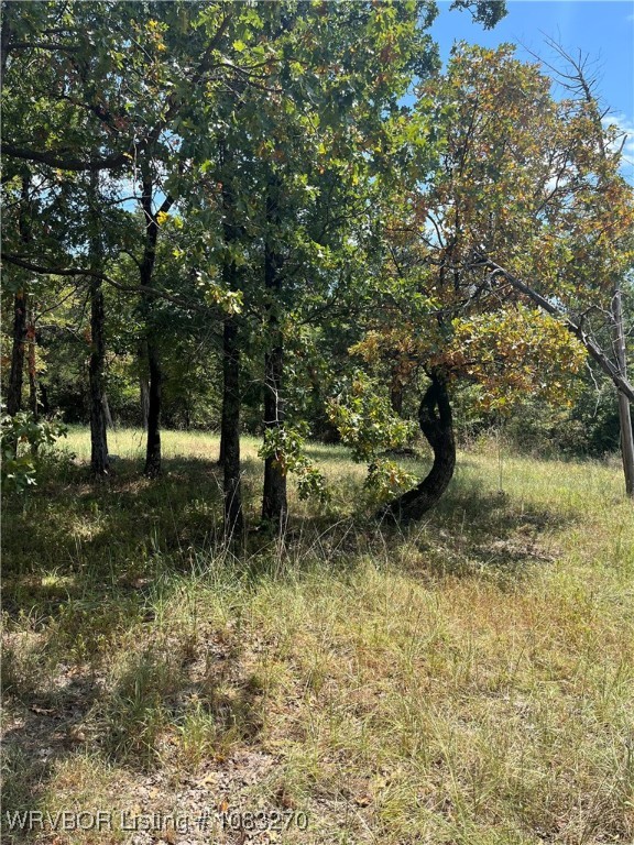 main property photo 60