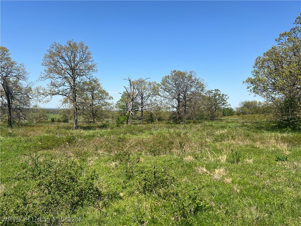 property viewer photo 1