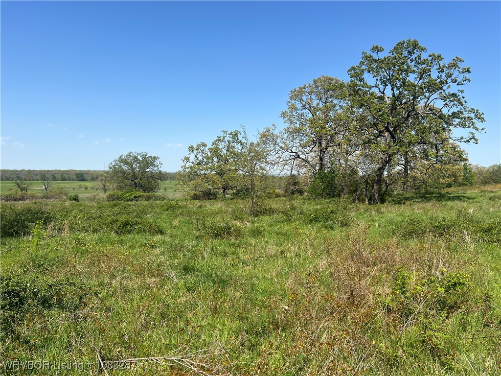 property viewer photo 3