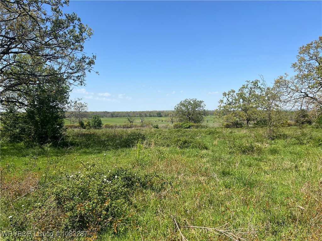 property viewer photo 4