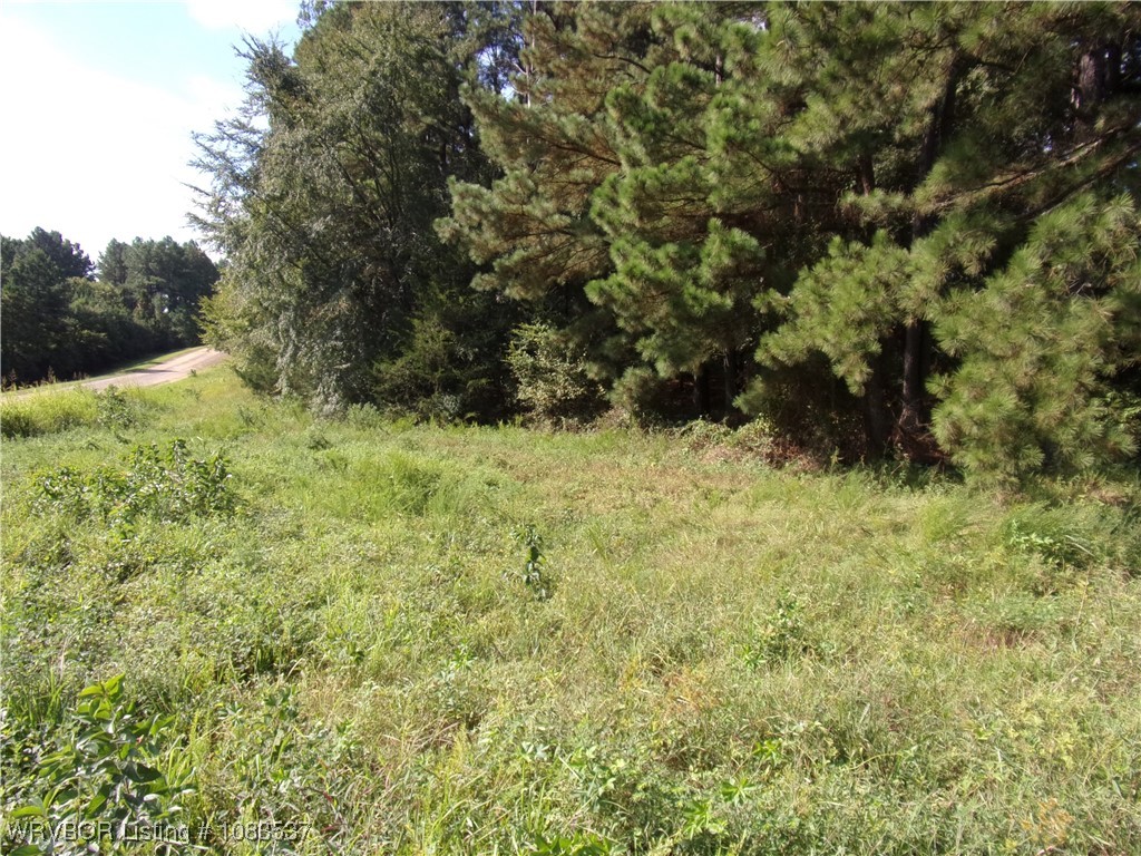 property viewer photo 4