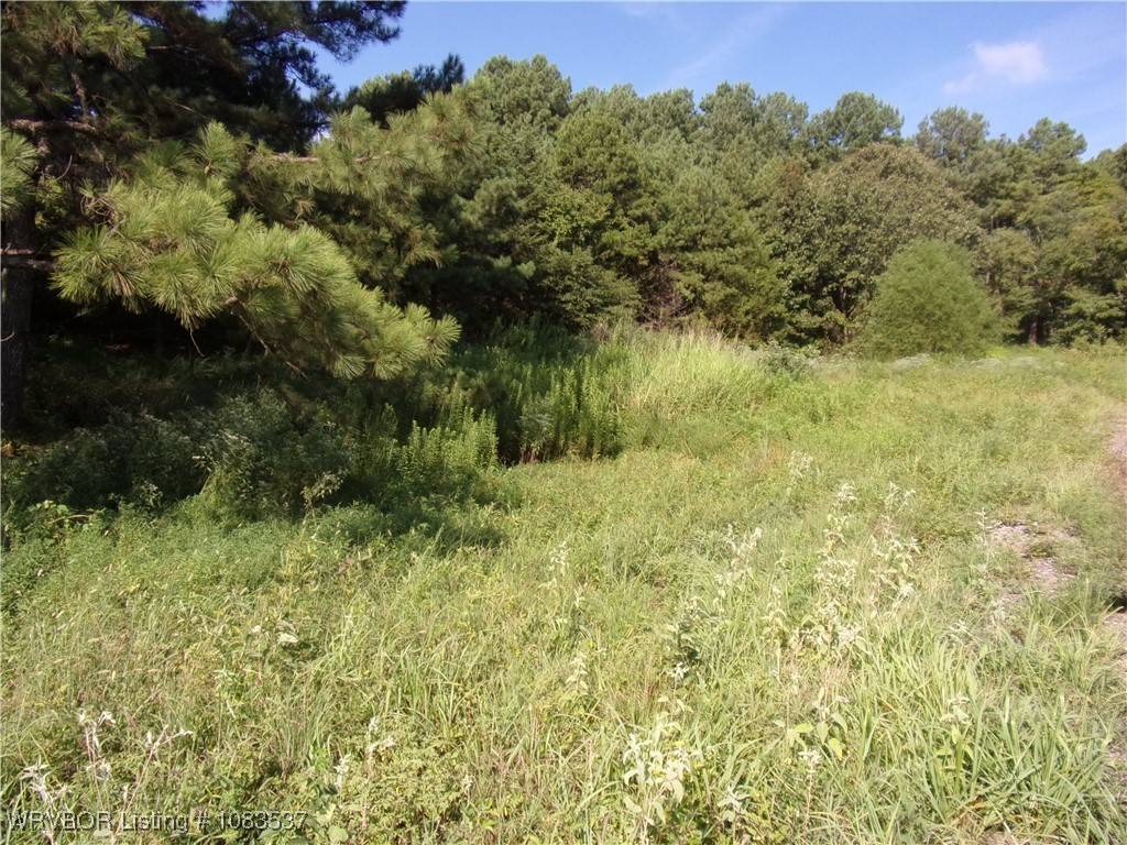 property viewer photo 5