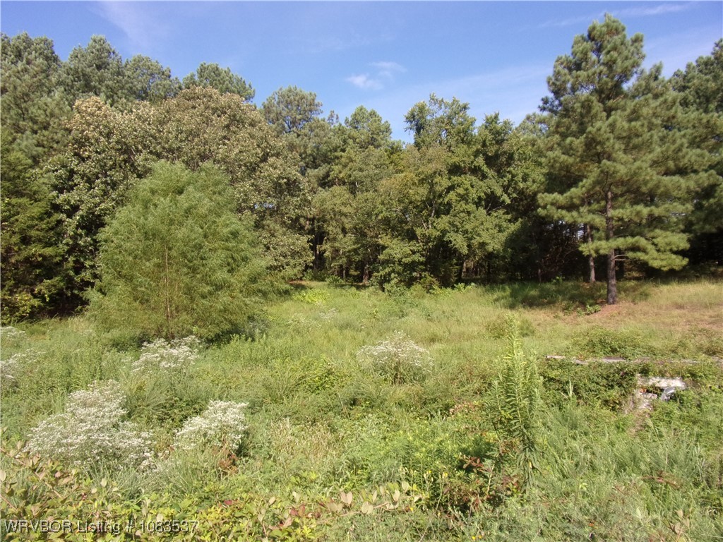 property viewer photo 6
