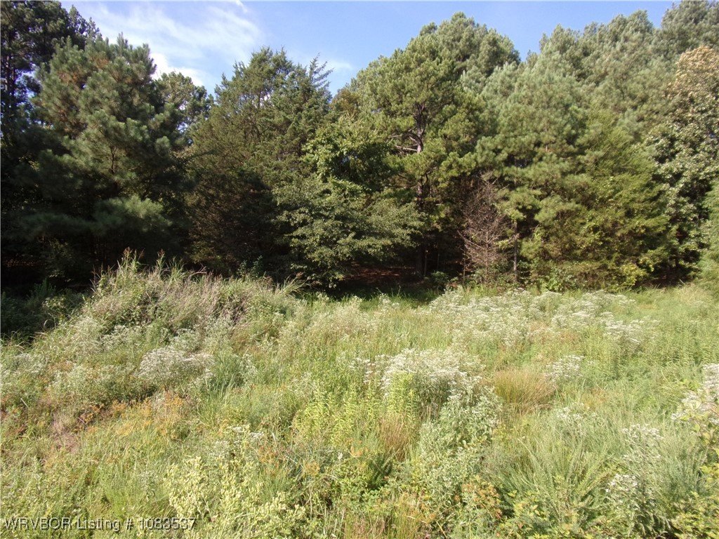 property viewer photo 7