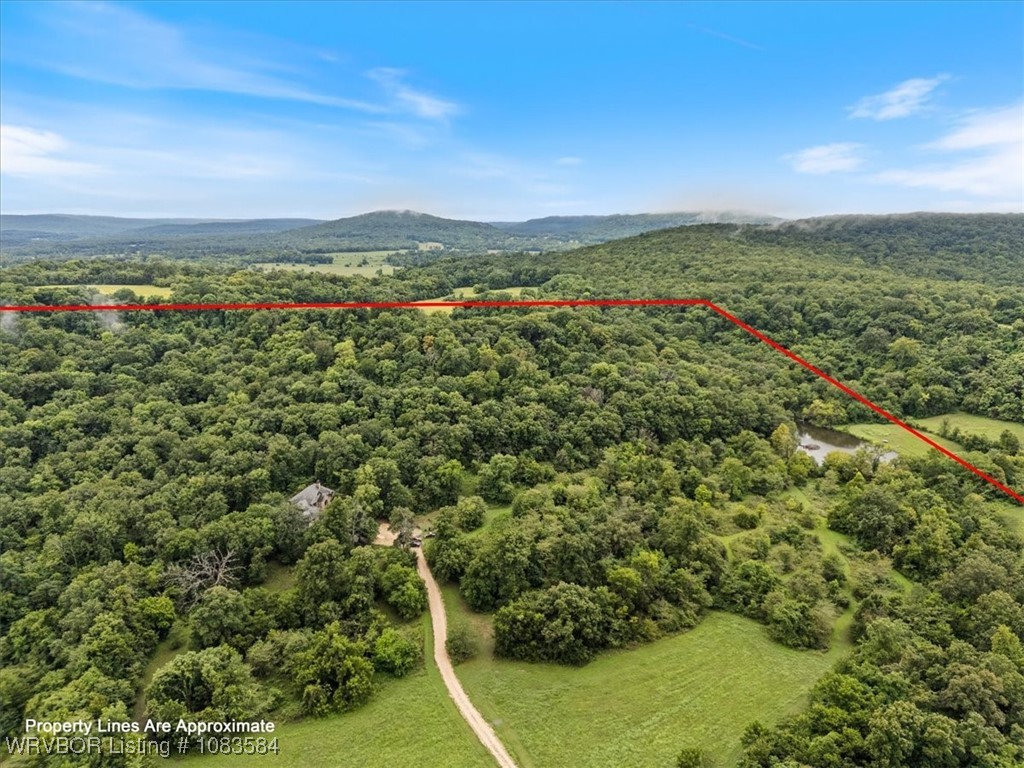 main property photo 41