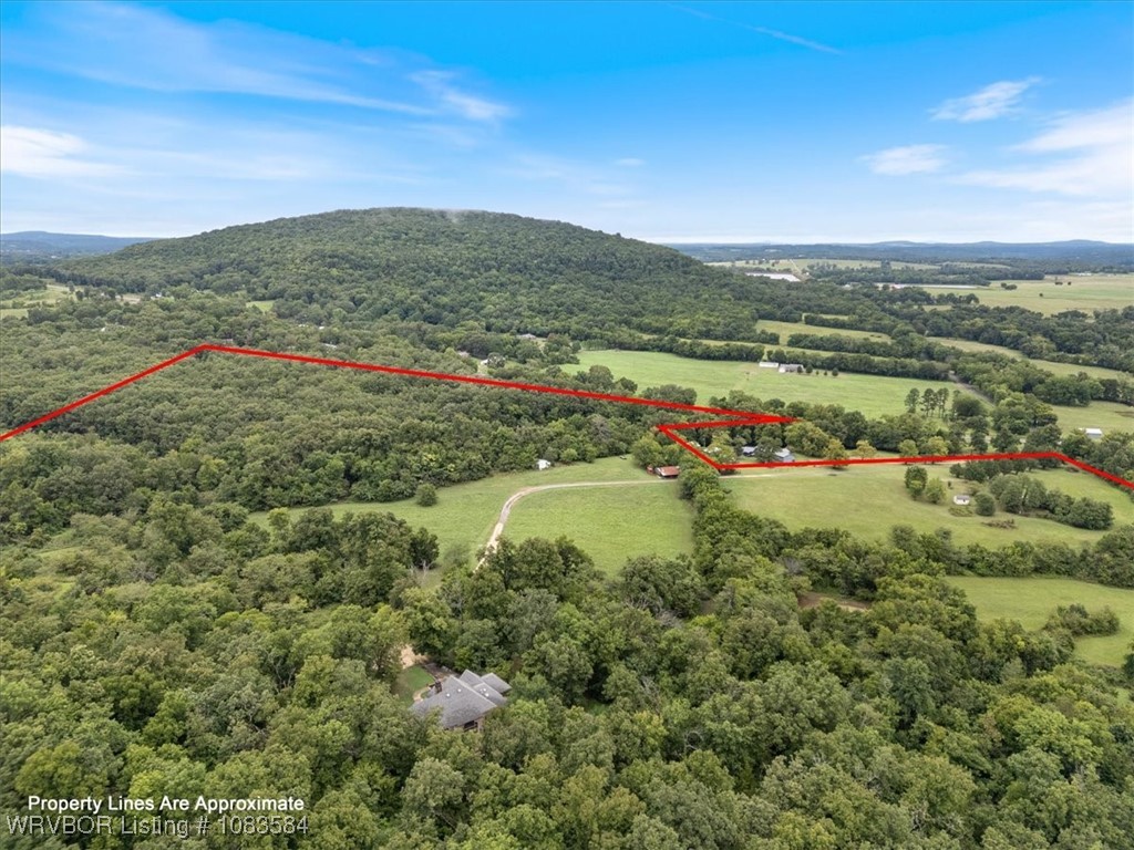 main property photo 48