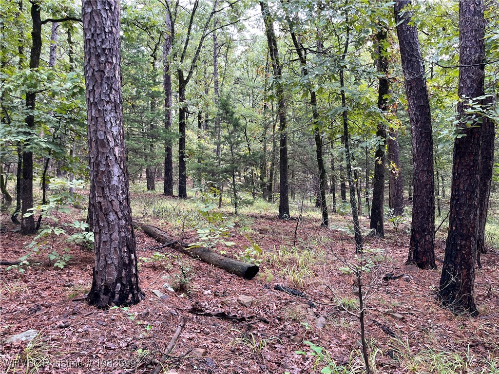 main property photo 11