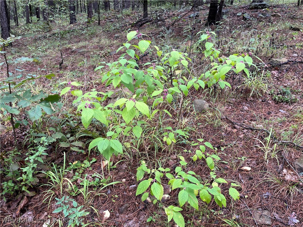 main property photo 16
