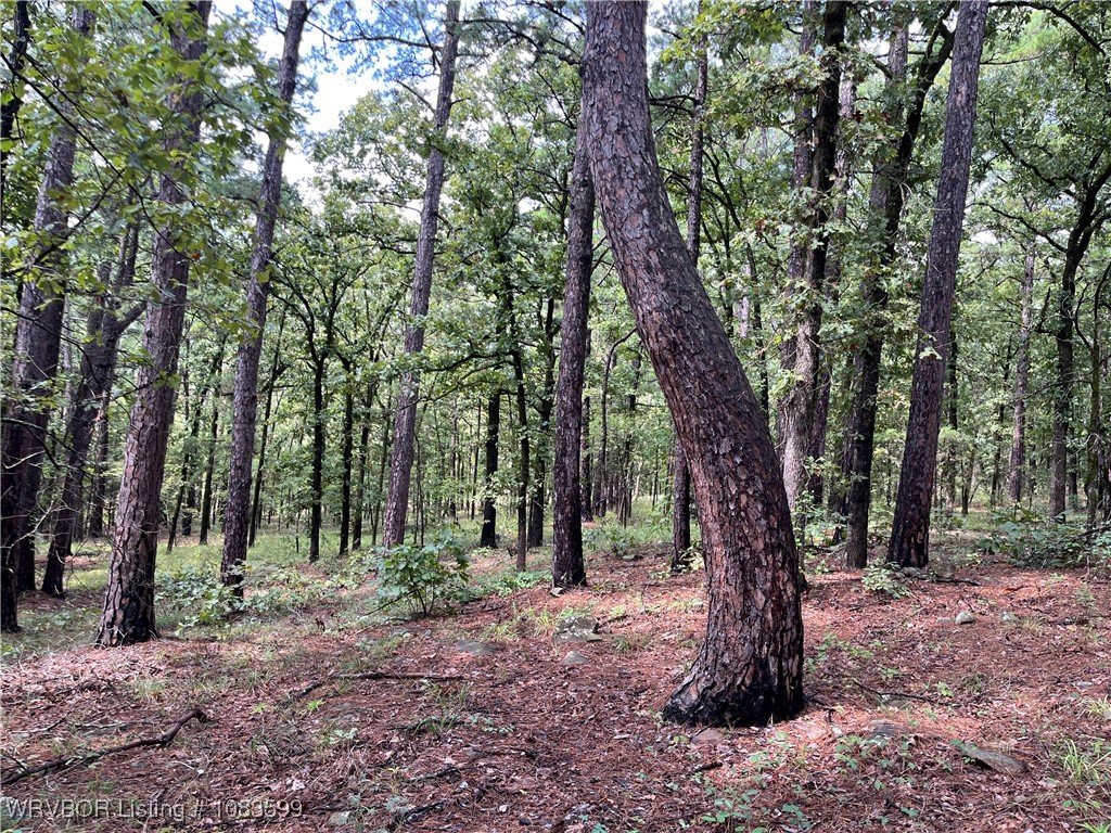 main property photo 21