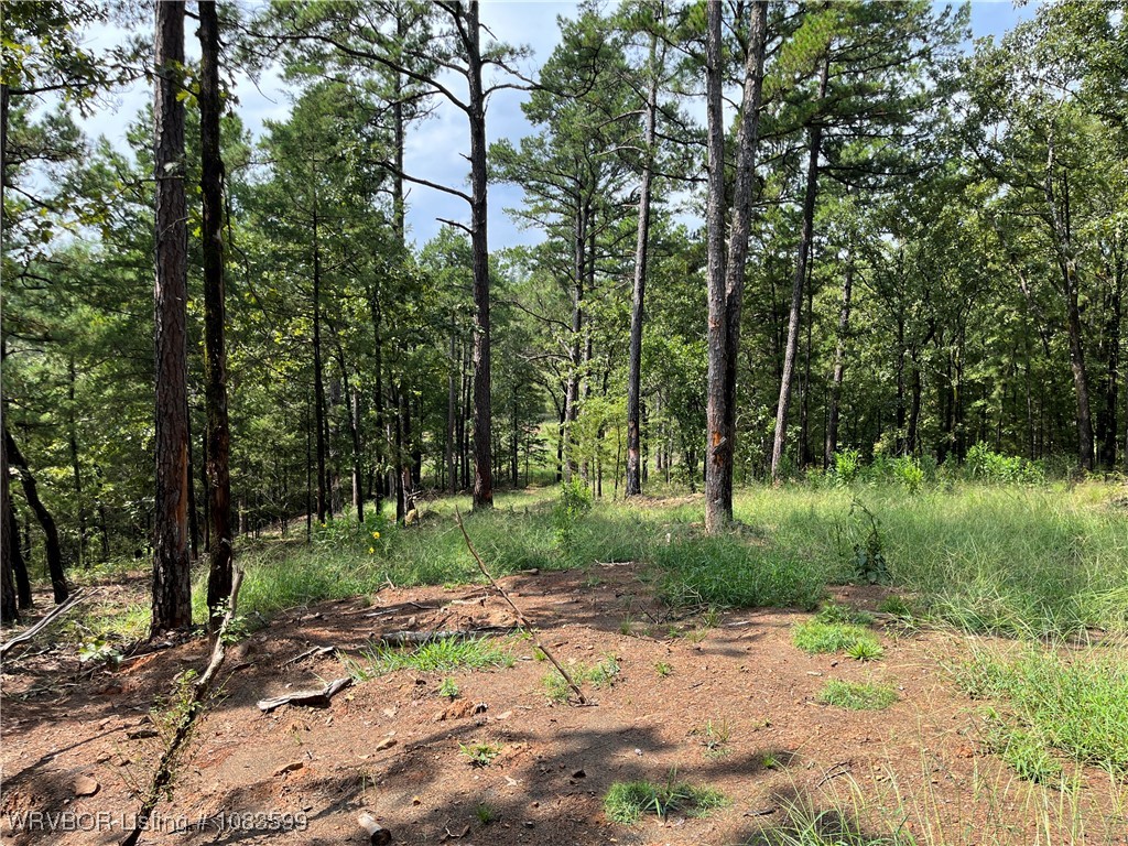 main property photo 26