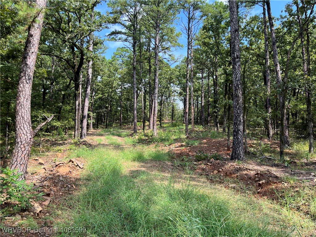 main property photo 28