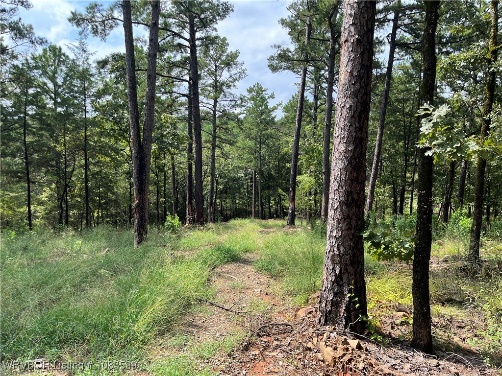 main property photo 30