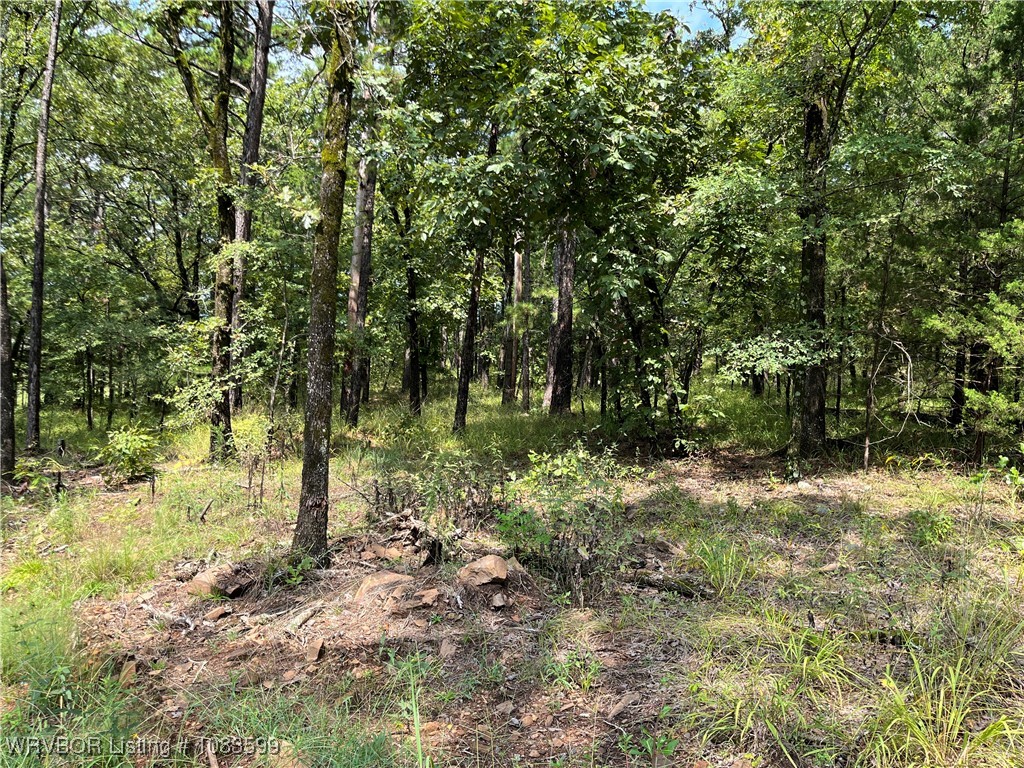 main property photo 31