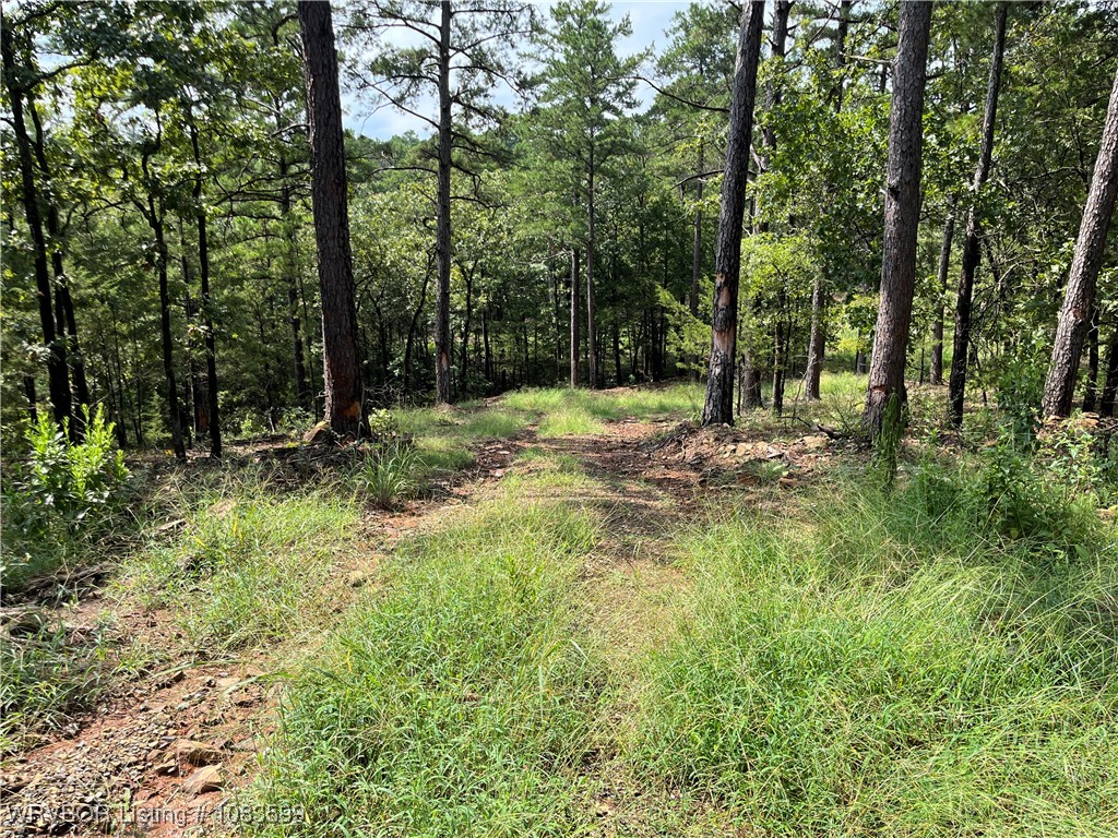 main property photo 32